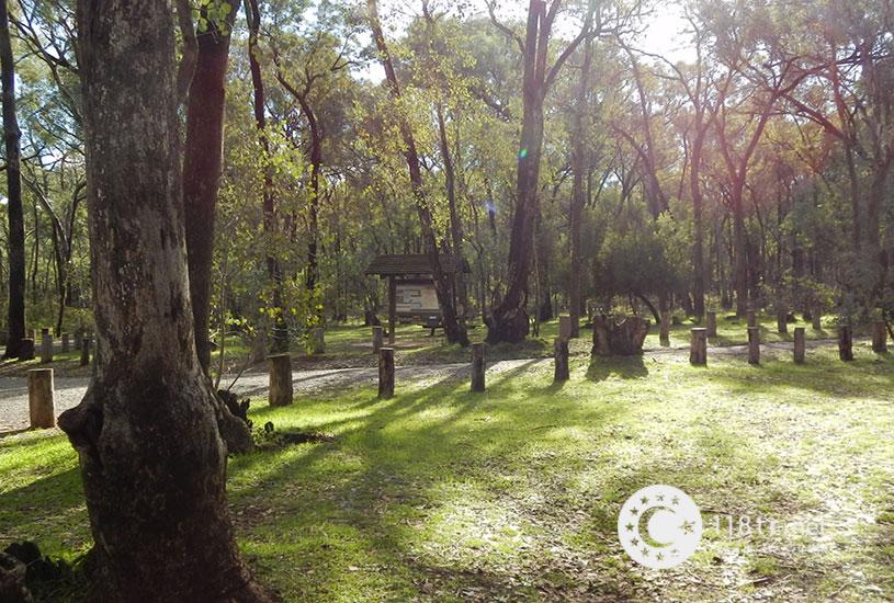 پارک جنگلی آتاتورک استانبول 67 پارک جنگلی آتاتورک استانبول 64